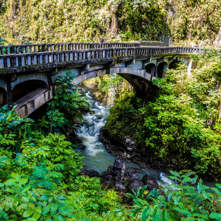 Brücke über einen reißenden Fluss umgeben von dichtem Grün entlang der Road to Hana, Maui, Hawaii