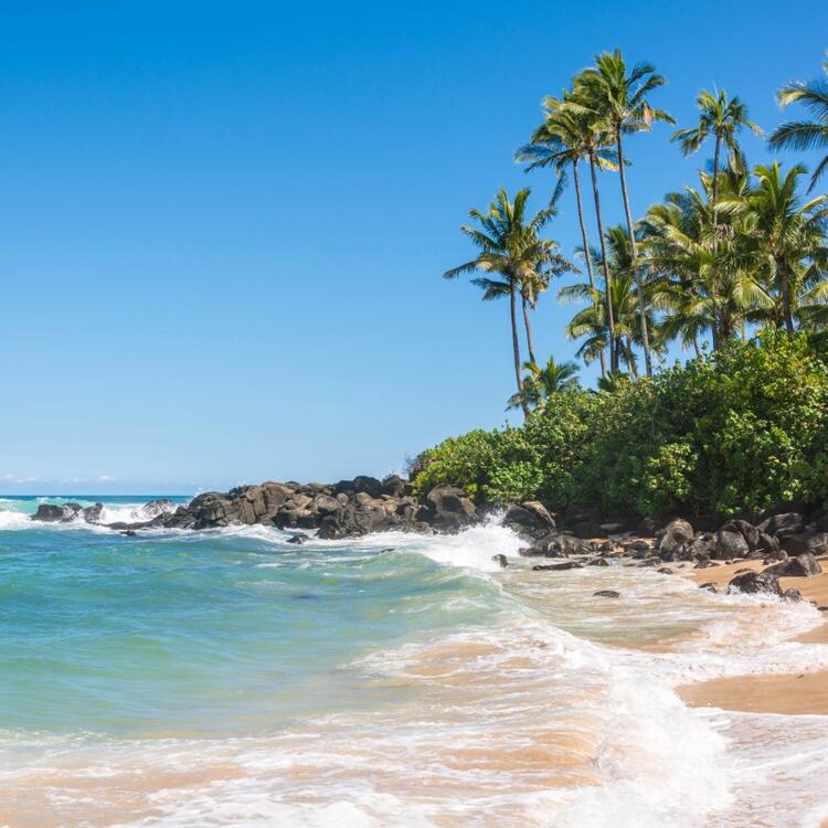 Idyllischer Blick auf einen abgeschiedenen Strand an der Nordküste von Hawaii mit Palmen und felsigen Ausläufern am Rande des türkisfarbenen Ozeans.