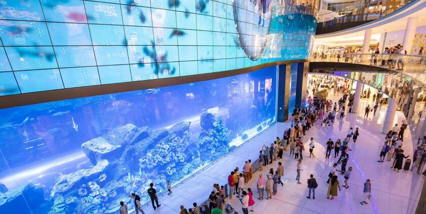 Dubai Underwater Aquarium