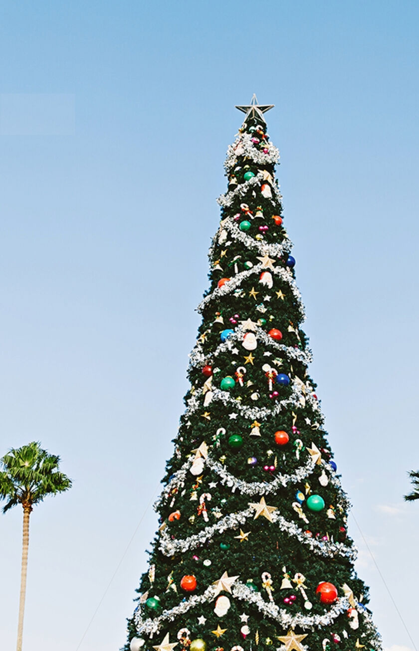 Geschmückter Weihnachtsbaum mit blauem Himmel