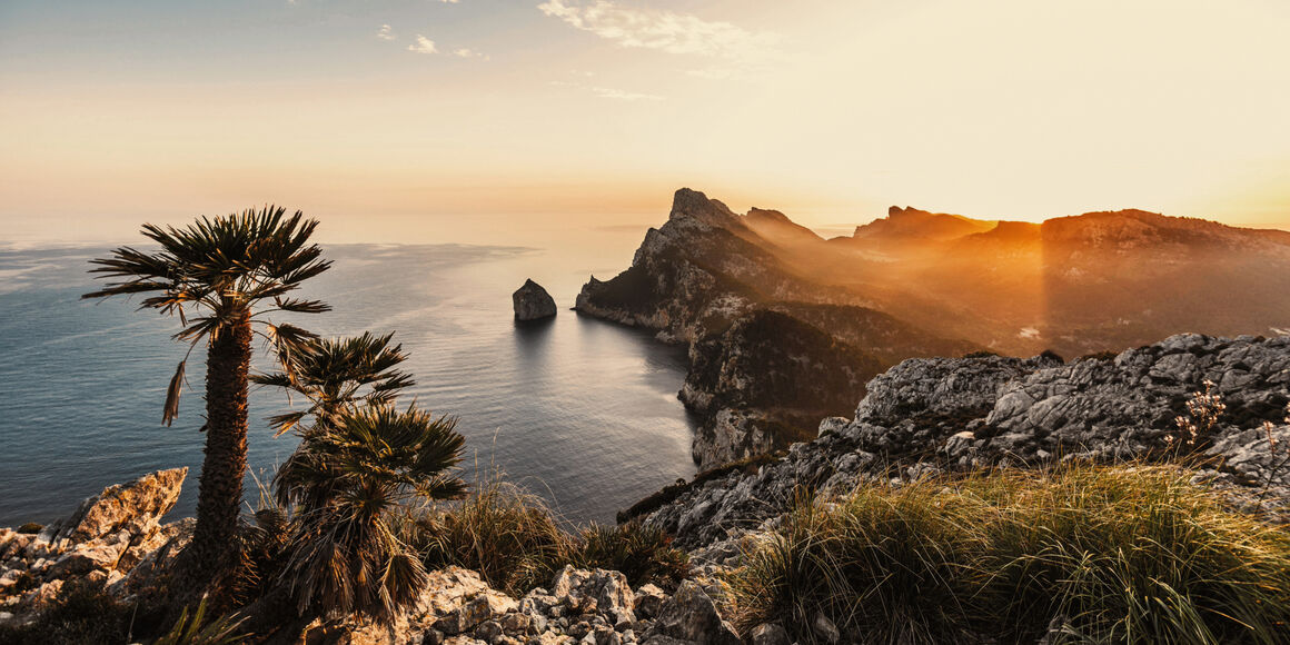 Steile Felsen, das Meer, Palmen sowie eine warme, goldene Beleuchtung in Mallorca