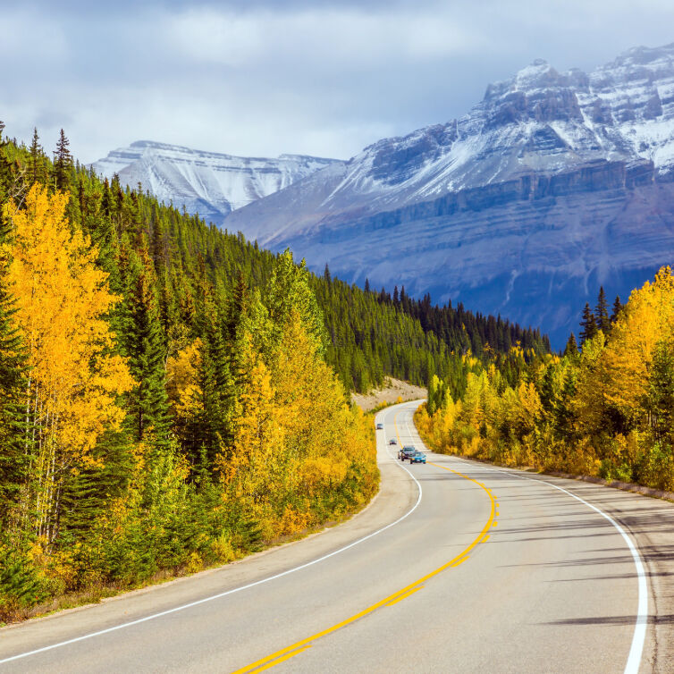 Straße in die Rocky Mountains