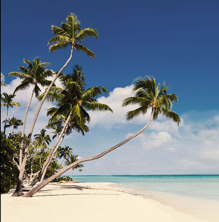 Paradiesischer Strand mit Palmen in Cancun, Mexiko