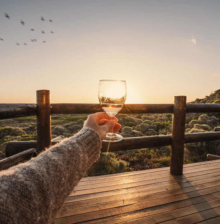 Weinprobe bei Sonnenuntergang in Südafrika