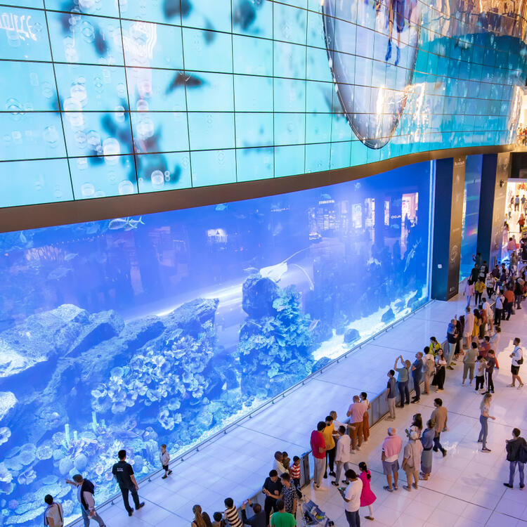 Besucher betrachten das große Aquarium in der Dubai Mall, das mit einer Vielzahl von Meereslebewesen gefüllt ist. 