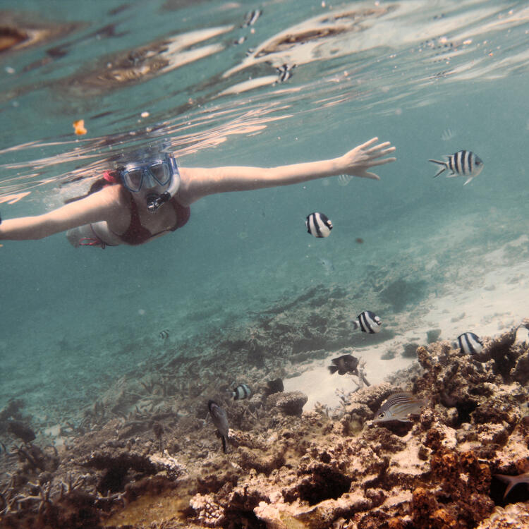 Taucherin in Mauritius mit Korallen und Fischen