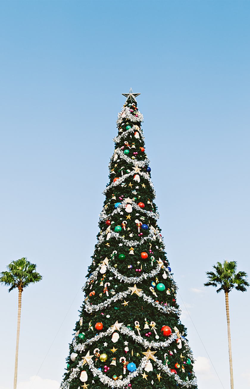 Geschmückter Weihnachtsbaum mit blauem Himmel