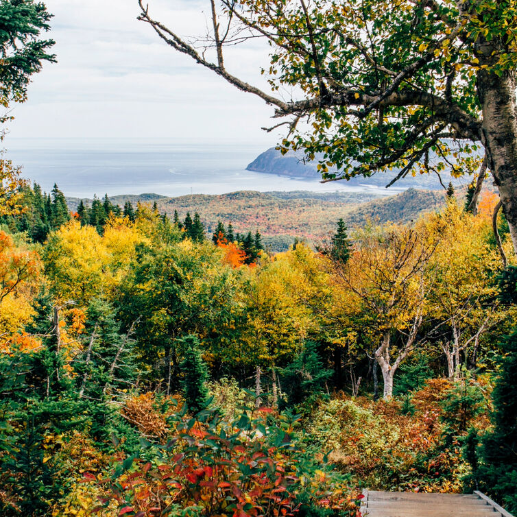 Aussicht auf den Cape Breton Nationalpark in Kanada