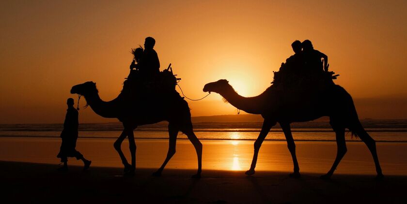 Agadir Strand mit Kamelen bei Sonnenuntergang