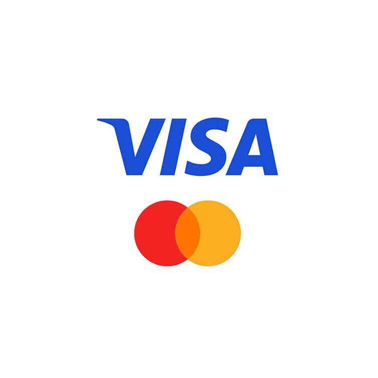 Bezahlen mit Kreditkarte Logo der Zahlungsmöglichkeit VISA