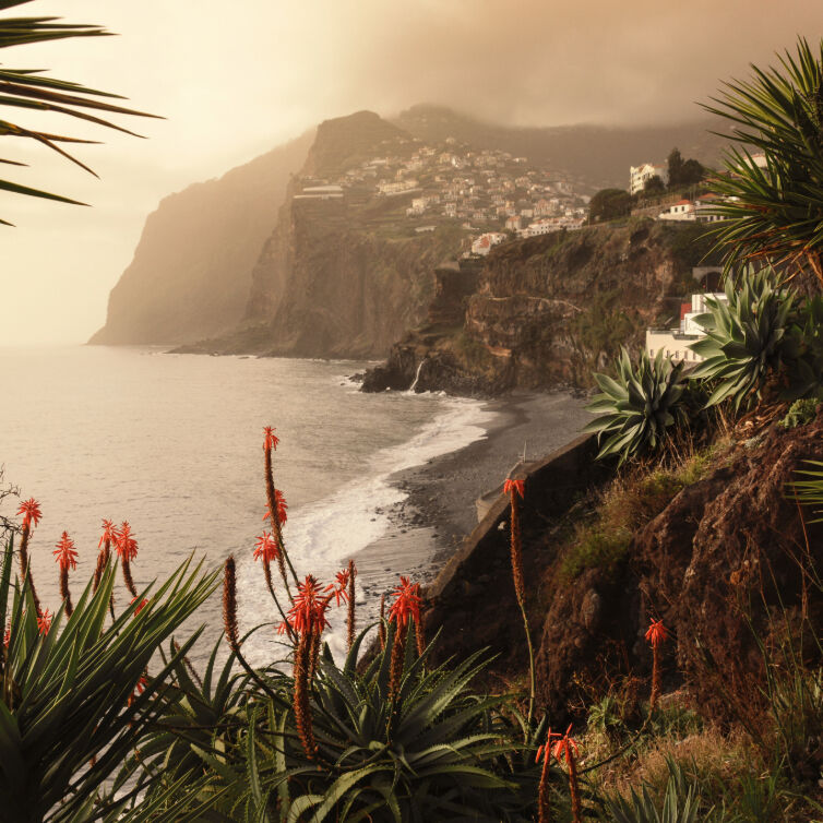 Luftansicht der Camara de Lobos Küste, umgeben von Pflanzen