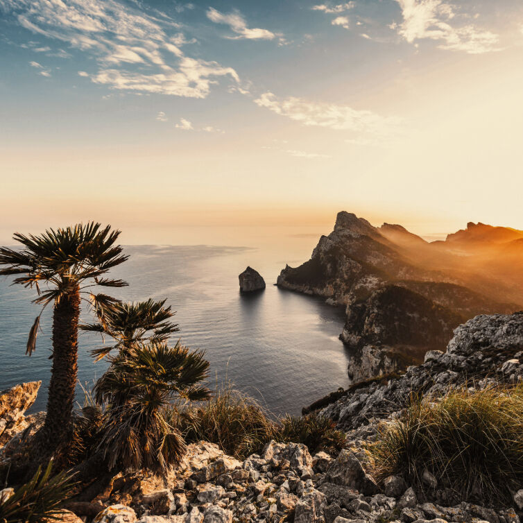 Blick auf eine malerische Bucht auf Mallorca bei Sonnenuntergang, umgeben von Felsen und Palmen.