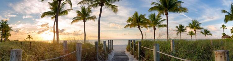 Fort Lauderdale Beach Florida - Strandzugang mit Palmen