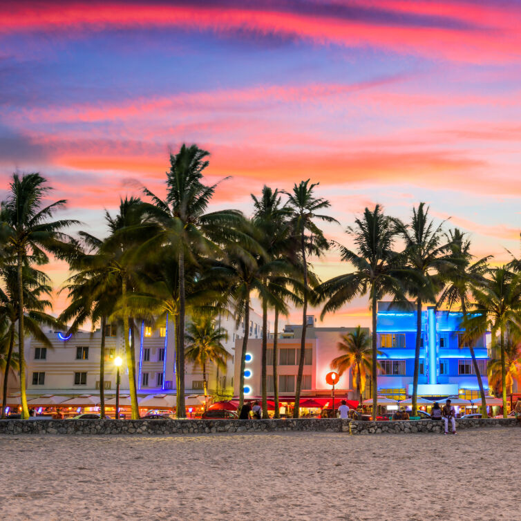 Leuchtende Neonlichter und Palmen am Strand von Miami Beach bei Sonnenuntergang.