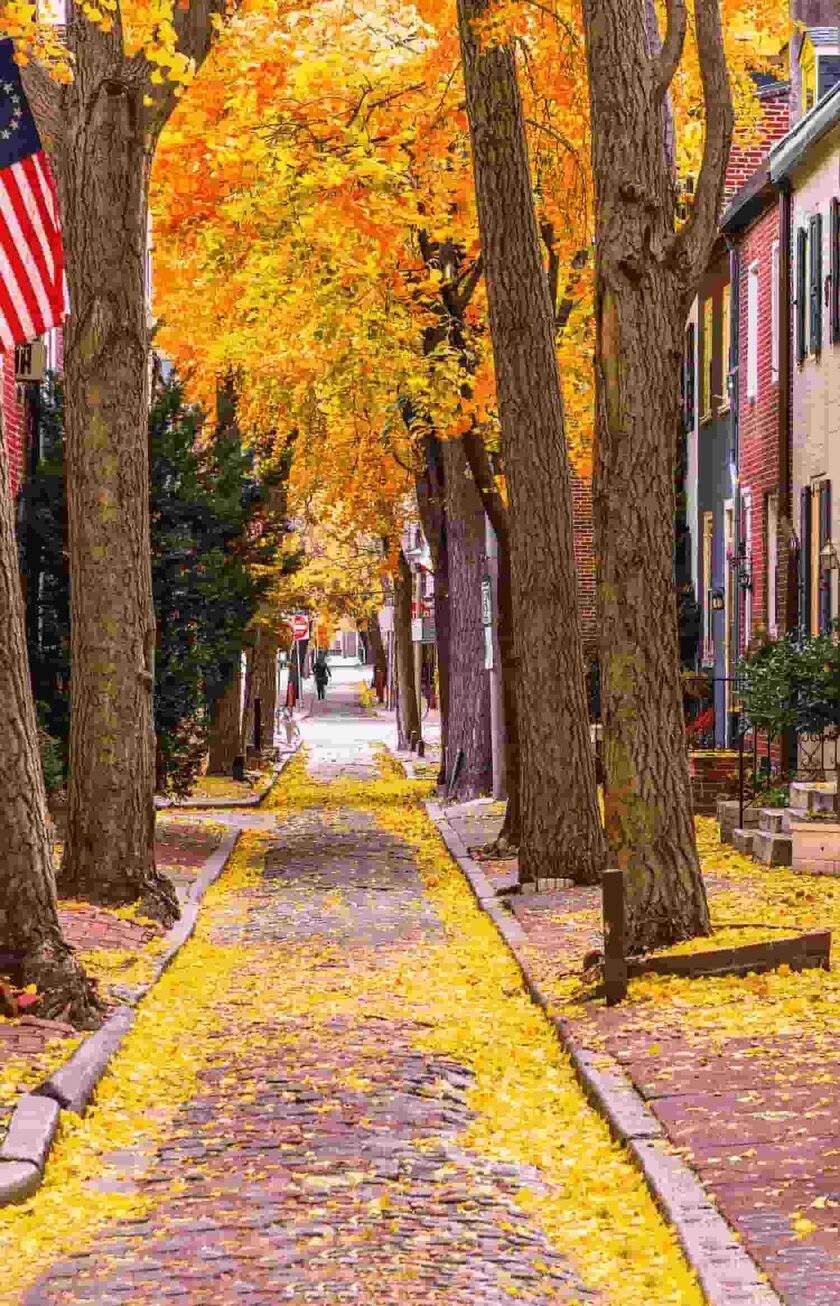 Eine herbstliche Strassenansicht in Philadelphia, USA, mit buntem Laub und traditionellen Backsteinhäusern