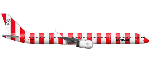 Lateral perspective of an airplane in a striped look.