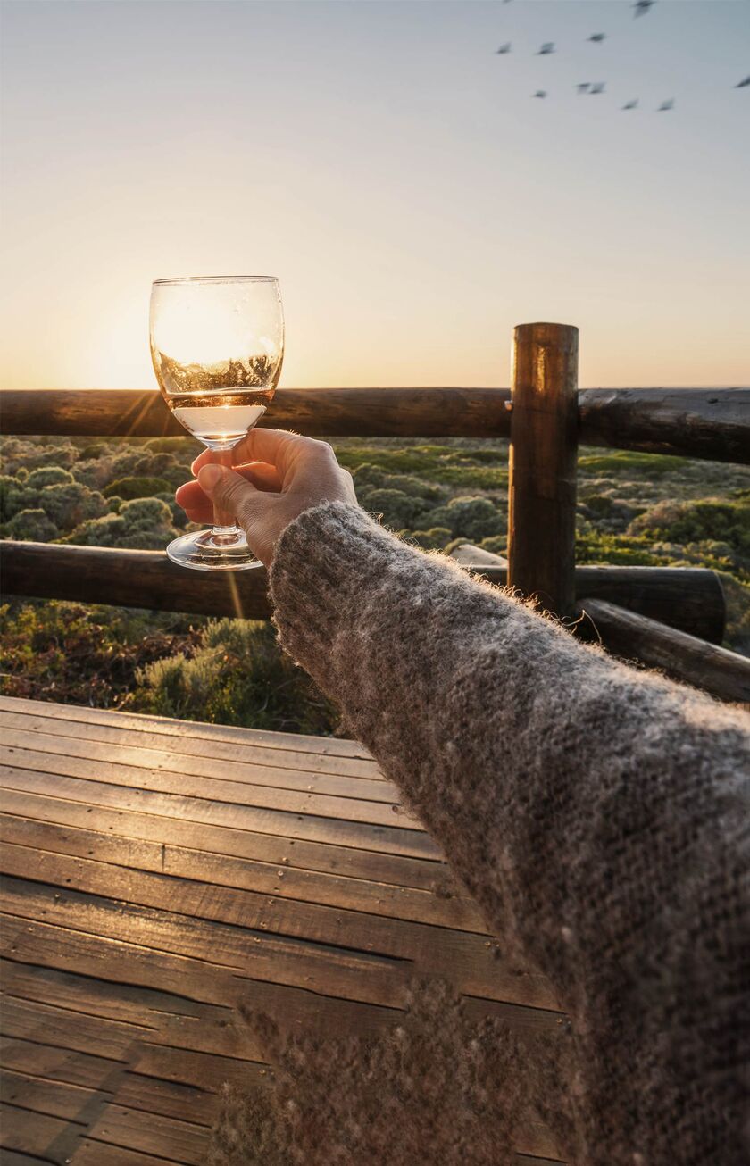 Brindis al atardecer durante un safari en una reserva del entorno de Johannesburgo.