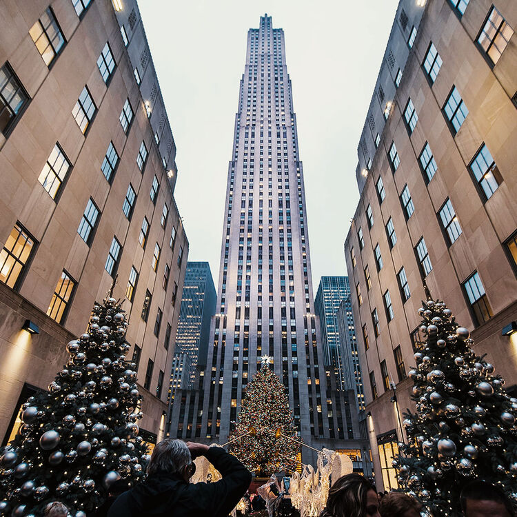 New York Christmas Shopping Condor 2022