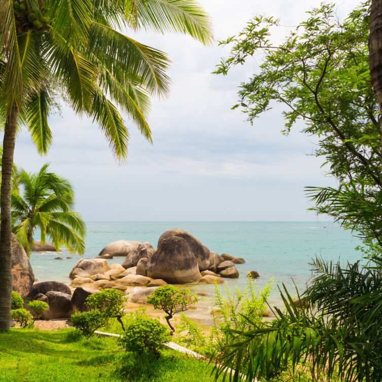 Sanya Landscape of Sanya with ocean, stones and palm trees