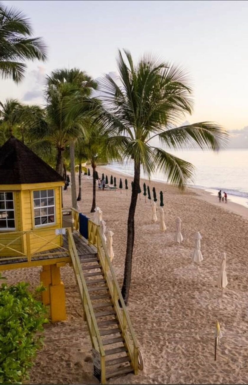 Beach house with palm trees overlooking the ocean