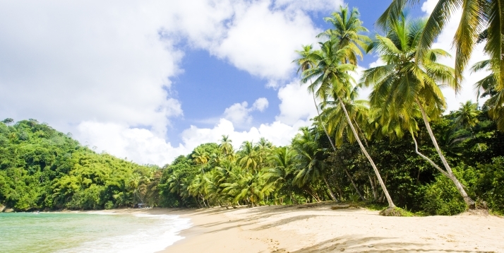 Book Flights To Tobago At Your Convenience With Condor