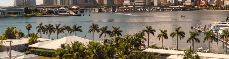 Skyline di Miami con Biscayne Bay in primo piano e palme lungo la costa.