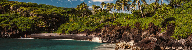 Spiaggia di Maui con palme, sassi e mare