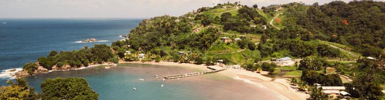 Luchtfoto van een rustige baai met een groen landschap en stranden op Tobago.