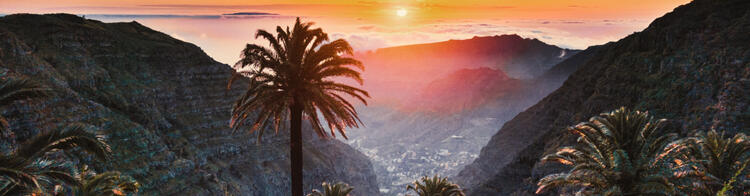 Zonsondergang in de bergen van La Palma, Spanje, met palmbomen en kleurrijke vegetatie.
