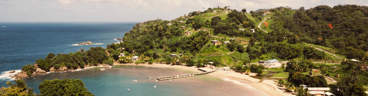 Groene heuvels en idyllische stranden aan de kust van Tobago.