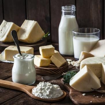 Selection of different kind of cheese. Bottles of milk and butter.